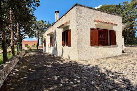 Masia a Cisternino, Brindisi, Cisternino - € 290.000 | Ref: 382 - foto 3
